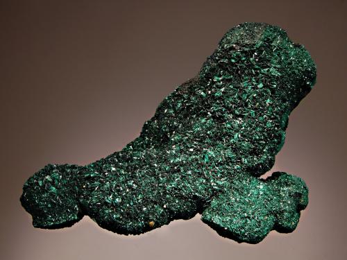 Atacamite
Mt. Gunson Mine, Andamooka Ranges,South Australia, Australia
9.2 x 11.5 cm.
Dark green atacamite crystals covering all sides of matrix. (Author: crosstimber)