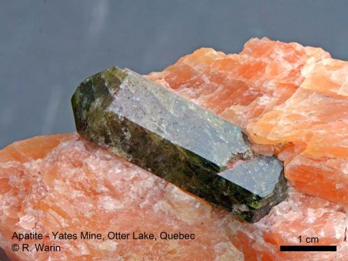 Apatite
Yates Mine, Otter Lake, Quebec
4 cm
in orange calcite (Author: Roger Warin)