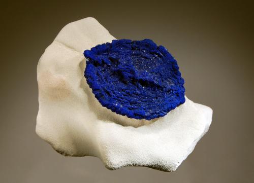 Azurite
Malbunka Cu Mine, Western Aranda country, Areyonga, Northern Territory, Australia
6.3 x 8.0 cm
Ovate leaf-shaped azurite sun with shallow concentric ridges on a matrix of pale gray kaolinite. (Author: crosstimber)