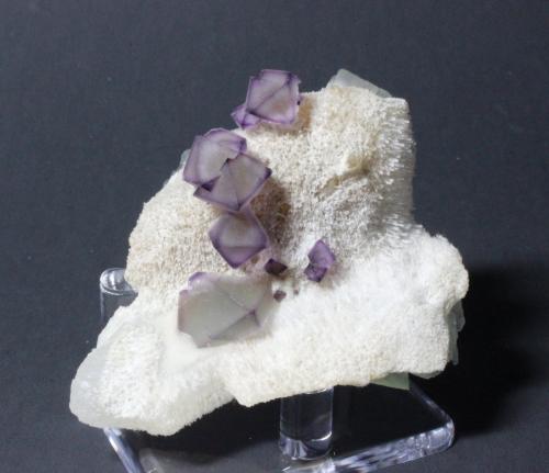 Fluorite, Quartz
De’an Mine, Jiangxi Province, China
6.5 x 5.8 cm (Author: Don Lum)