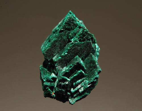 Malachite
Sir Dominick Mine, Arkaroola Region, Flinders Ranges, South Australia, Australia
1.2 x 1.9 cm
a velvety malachite pseudomorph after azurite. (Author: crosstimber)