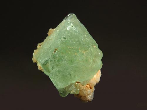 Fluorite
Mungana, Chillagoe-Herberton District, Tablelands Region, Queensland, Australia
2.1 x 2.3 cm
A pale green octahedral fluorite crystal on a small piece of quartz matrix from a not often seen location. (Author: crosstimber)