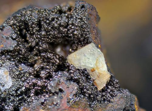 Cerusita sobre goethita.
Corta San Valentín, Cartagena, Murcía, Región de Murcia, España.
Campo de visión de 10 mm. (Autor: Antonio Carmona)