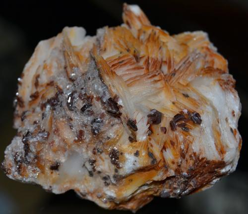 Barite, Vanadinite, Gypsum
Mibladen, Midelt, Khénifra Province, Meknès-Tafilalet Region, Morocco
6 x 6 x 3.5 cm (Author: Vitomorim)