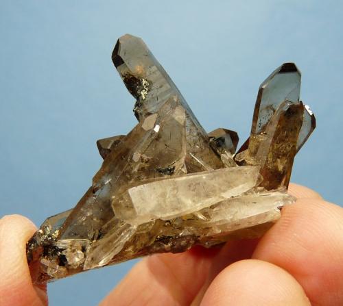 Quartz variety smoky and aegirine
Mount Malosa, Zomba, Malawi
51 x 43 x 39 mm
Same as above. (Author: Pierre Joubert)