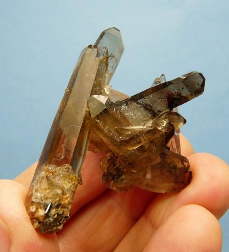 Quartz variety smoky and aegirine
Mount Malosa, Zomba, Malawi
51 x 43 x 39 mm (Author: Pierre Joubert)