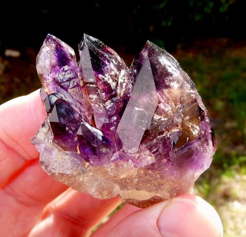 Quartz variety amethyst.
Brandberg Area, Erongo, Namibia
57 x 49 x 41 mm
Same as above. (Author: Pierre Joubert)