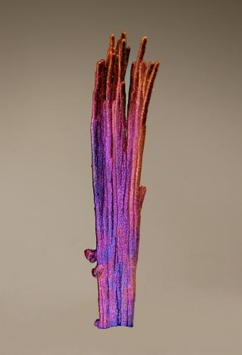 The image that Michael published here.

Chalcocite
Tongshan Mine, Daye Mine, Huangshi Pref., Hubei Prov., China
1.0 x 4.7 cm
Stalactitic chalcocite coated with a thin film of iridescent chalcopyrite. (Author: Jordi Fabre)