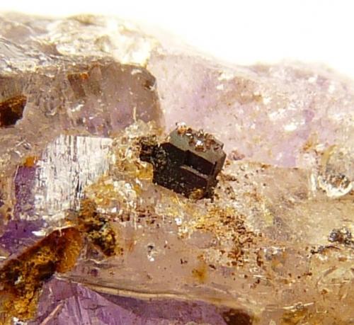 Goethite after Pyrite
Brandberg Area, Erongo, Namibia
Approx. 1.5 mm
Pyrite is not often encountered in this area. (Author: Pierre Joubert)