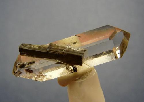 Quartz and tourmaline.
Karoi,  Mashonaland West, Zimbabwe
25 x 08 x 06 mm
Same as above. (Author: Pierre Joubert)