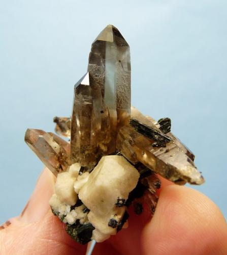 Quartz variety smoky, Aegirine and feldspar.
Mount Malosa, Zomba, Malawi.
46 x 41 x 21 mm
Same as above. (Author: Pierre Joubert)