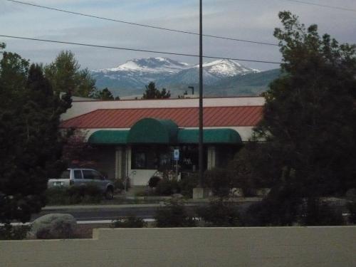 View of Mt. Rose (10,785 ft, 3,287 m high) from my motel in Reno. (Author: John S. White)