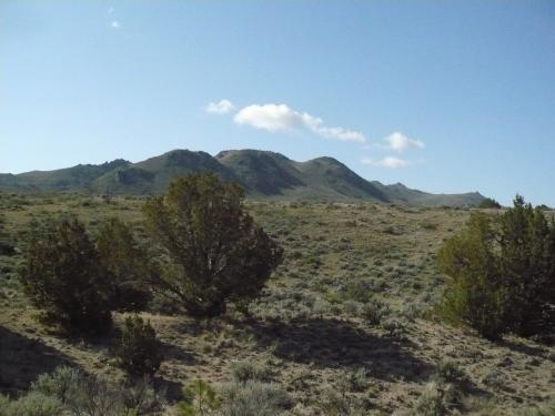 Just left the paved road and heading toward Petersen Mtn. in the distance. (Author: John S. White)