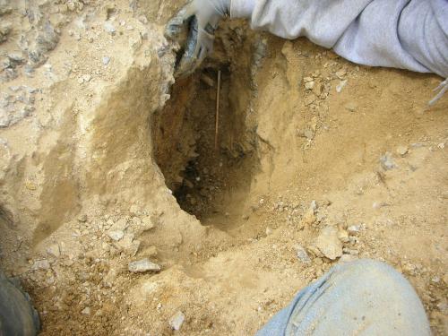 Another exposed quartz pocket with wooden chopsticks for scale.  Many sceptered quartz are head down in the pockets, possibly from the weight of the scepter head drawn down into the clay by gravity.  Quartz crystals on the walls of the pockets are typically unremarkable and are simple hexagonal columnar specimens with "normal" terminations.  It is interesting to note that many pockets only contain one or two nice crystals and the rest are insignificant in comparison.  Ronna’s pocket was large enough to prove to be an exception. (Author: Tony L. Potucek)