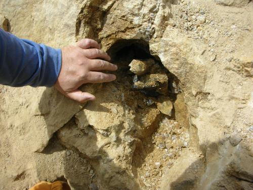 Another exposed quartz pocket.  Once surrounding granitics were pulled back, these pockets could be detected by gray to brown to blackish clay containing quartz shards.  Probing with wooden chopsticks was key to extracting specimens with no or little damage.  However, some pockets were totally crushed by tectonic activity prior to collector activity. (Author: Tony L. Potucek)