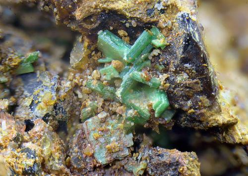 Torbernita.<br />Mina Trapero, Cardeña, Comarca Los Pedroches, Córdoba, Andalucía, España<br />Campo de visión de 4 mm.<br /> (Autor: Antonio Carmona)