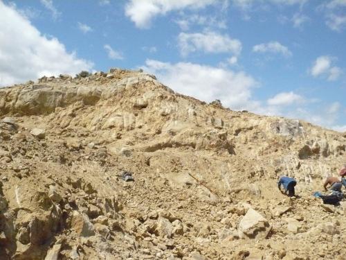 Here you can just make out some small pockets that have been cleaned out near the top of wall.  Most are small and occur in a variety of shapes. (Author: John S. White)