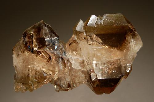 Quartz
Les Droites, Mt. Blanc Massif, Chamonix, Haute-Savoie, Rhone-Alpes, France
4.0 x 6.1 cm
A floater of sharply-formed, tabular smoky quartz crystals in parallel growth with minor chlorite coating several crystal faces. (Author: crosstimber)