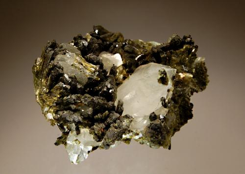 Epidote
Saint-Véran, Hautes-Alpes, Provence-Alpes-Côte d’Azur, France
5.6 x 6.5 cm
Dark green epidote crystals in divergent groups associated with quartz and albite. (Author: crosstimber)