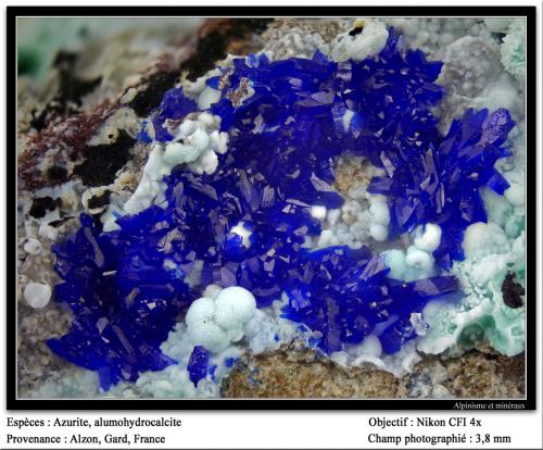 Azurite, alumohydrocalcite
Alzon, Gard, Languedoc-Roussillon, France
fov 3.8 mm (Author: ploum)