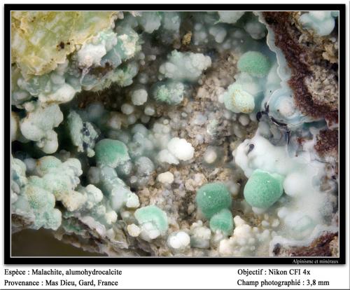 Malachite, alumohydrocalcite
Alzon, Gard, Languedoc-Roussillon, France
fov 3.8 mm (Author: ploum)