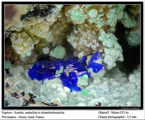 Azurite, alumohydrocalcite, malachite
Alzon, Gard, Languedoc-Roussillon, France
fov 3.5 mm (Author: ploum)
