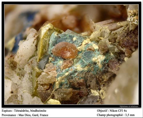 Tetrahedrite, oxyplumboromerite
Mas Dieu, Mercoirol, Gard, Languedoc-Roussillon, France
fov 3.5 mm (Author: ploum)