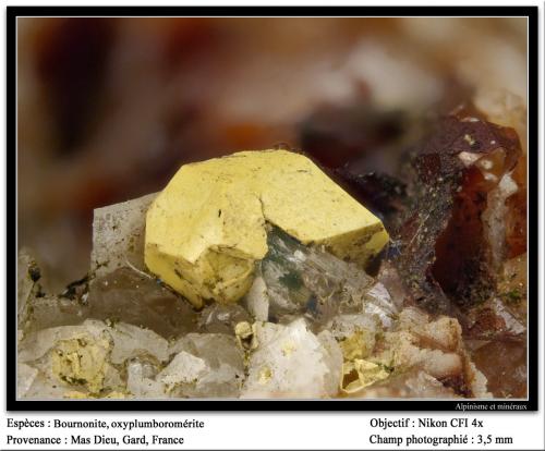 Bournonite, oxyplumboromerite
Mas Dieu, Mercoirol, Gard, Languedoc-Roussillon, France
fov 3.5 mm (Author: ploum)