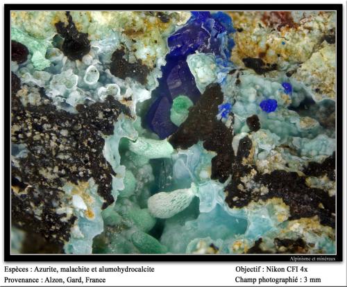 Azurite, alumohydrocalcite, malachite
Alzon, Gard, Languedoc-Roussillon, France
fov 3.5 mm (Author: ploum)