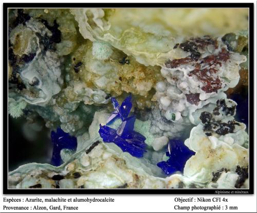 Azurite, alumohydrocalcite, malachite
Alzon, Gard, Languedoc-Roussillon, France
fov 3.5 mm (Author: ploum)