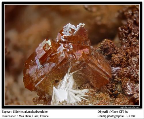 Siderite
Mas Dieu, Mercoirol, Gard, Languedoc-Roussillon, France
fov 3.5 mm (Author: ploum)