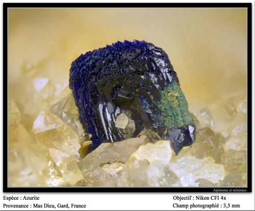 Azurite
Mas Dieu, Mercoirol, Gard, Languedoc-Roussillon, France
fov 3.5 mm (Author: ploum)