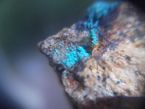 Lavendulana<br />Dolores outcrop, Pastrana, Mazarrón / Águilas, Comarca Alto Guadalentín, Region of Murcia (Murcia), Spain<br />2 x 2 cm<br /> (Autor: Alvaro2121)