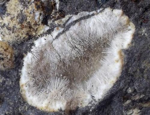 Natrolita-Mesolita<br />Montaña Blanca-Pueblo de Agaete, Agaete, Gran Canaria, Provincia de Las Palmas, Canarias, España<br />Geoda de 1 cm<br /> (Autor: Cristalino)