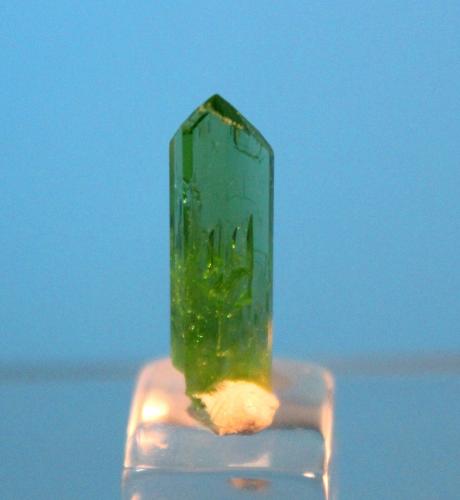 Diopside
Samax Mine, Lelatema Mountains, Tanzania
21 x 6 mm (Author: Don Lum)