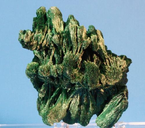 Malachite
Star of Congo Mine, Shaba Province, Democratic Republic of the Congo
6.3 x 4.5 cm (Author: Don Lum)