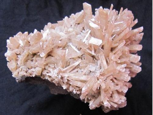 Gypsum
Kuh sormeh mine, dashte Azadegan, Jam-Asaluyeh road, Firuzabad county, Fars Province, Iran
17 cm (Author: h.abbasi)