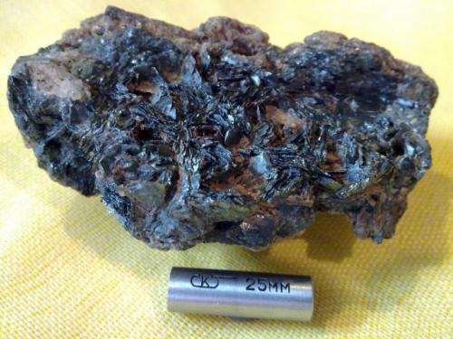 Augite
Mooteh District (Muteh District), Golpayegan (Golpayan), Golpayegan County, Esfahan Province (Isfahan Province; Aspadana Province), Iran
47*85 mm
A flake Augite (Author: h.abbasi)