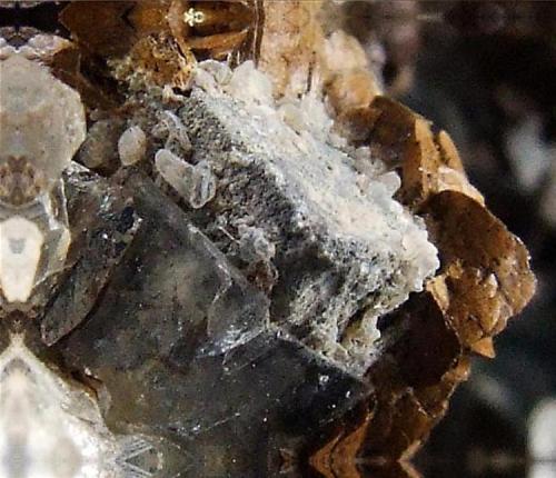 Fluorite, Galena, Cerussite, Siderite.
Pike Law Hushes, Teesdale, Durham Co., UK.
cube approx 4mm across (Author: nurbo)