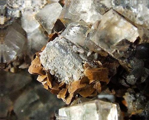 Fluorite, Galena, Cerussite, Siderite.
Pike Law Hushes, Teesdale, Durham Co., UK.
cube approx 4mm across (Author: nurbo)