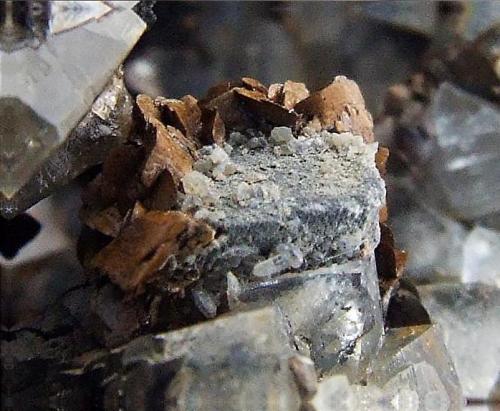 Fluorite, Galena, Cerussite, Siderite.
Pike Law Hushes, Teesdale, Durham Co., UK.
cube approx 4mm across (Author: nurbo)