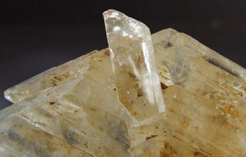 Gypsum.
Mossdale Cavern’s, Grassington, Wharfedale, North Yorkshire, England, UK.
60 x 30 mm (Author: nurbo)