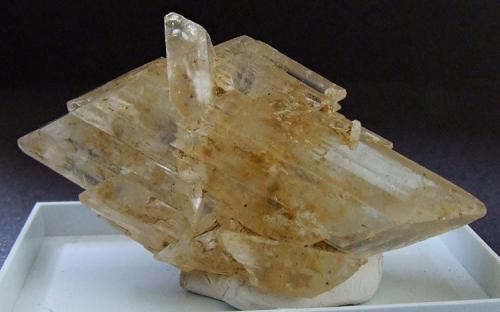 Gypsum.
Mossdale Cavern’s, Grassington, Wharfedale, North Yorkshire, England, UK.
60 x 30 mm (Author: nurbo)