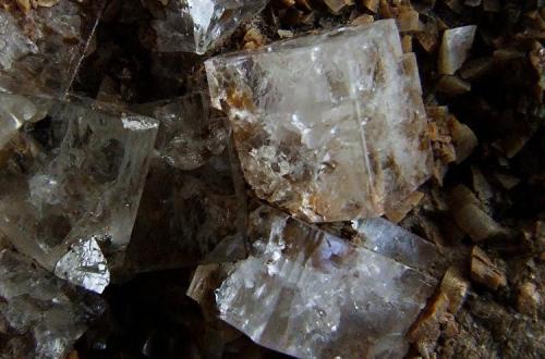 Fluorite on Dolomite.
Dalefoot Level, Great Bell,  Mallerstang, Cumbria, England, UK.
Fluorite to 10 mm (Author: nurbo)