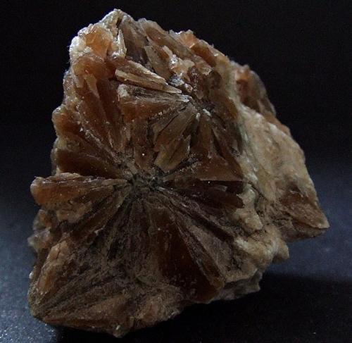 Gypsum.
Birkshead mine, Kirkby Thore, Cumbria, England, UK.
Gypsum "Wheel" 30 mm diameter (Author: nurbo)