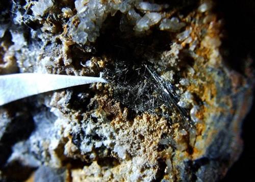 Millerite in Septarian Nodule
Coldberry Gutter, Middleton in Teesdale, Co Durham, England, UK.
vug containing Millerite is 7 mm on its longest dimension (Author: nurbo)