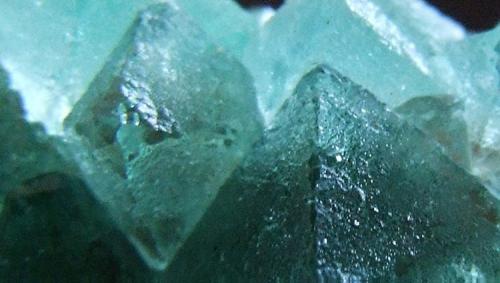 Fluorite.
Berta Quarry, Vallès Occidental, Barcelona, Spain.
Fluorite to 4 mm approx (Author: nurbo)