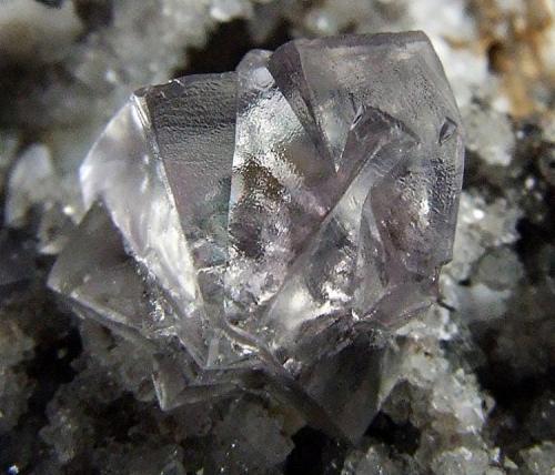 Fluorite on Quartz.
Bayles Hush, Newbiggin,Teesdale, Co Durham, England, UK.
Fluorite max dimension 9 mm (Author: nurbo)