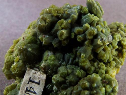 Pyromorphite
Cumberland, England, UK.
FOV 18 x 18 mm approx (Author: nurbo)