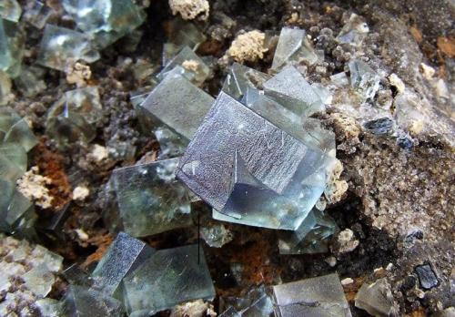 Fluorite, Galena, cerussite (?)
Rogerley Mine, Weardale, Co Durham, England, UK.
Fluorite to 7 mm (Author: nurbo)